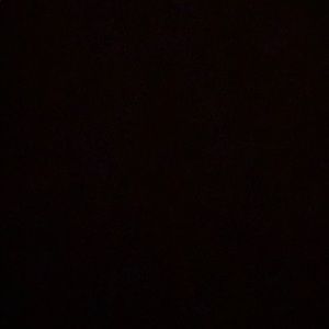 Meet your Posher, Shauntel